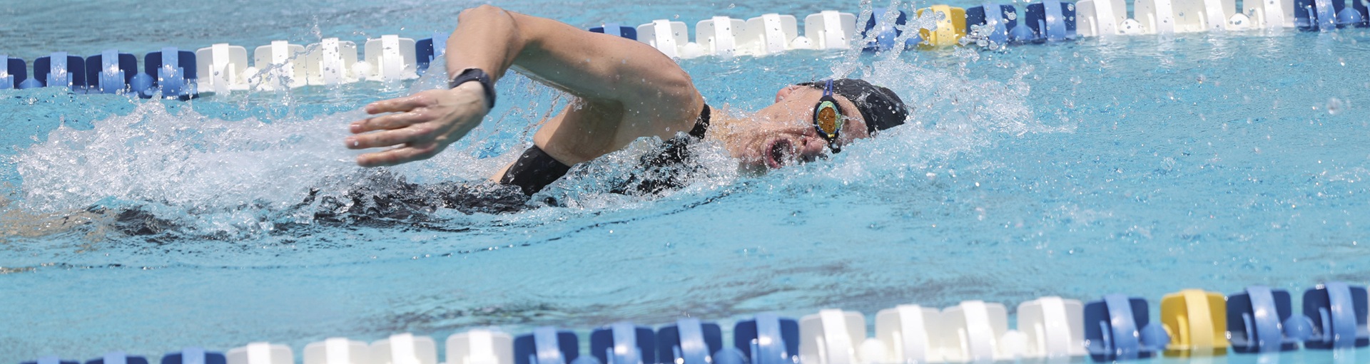 Lap Swimming